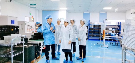 攜手共進，共創未來——深圳擔保集團蒞臨云里物里考察指導軟件開發工作